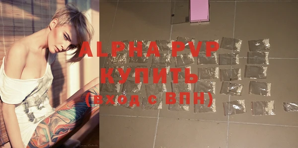 гидра Белокуриха