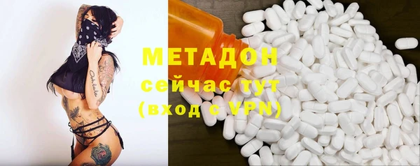 гидра Белокуриха